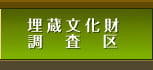 埋蔵文化財調査区